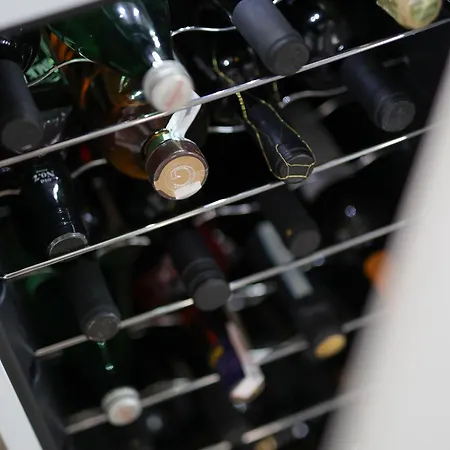 Papa's Court V With Pool