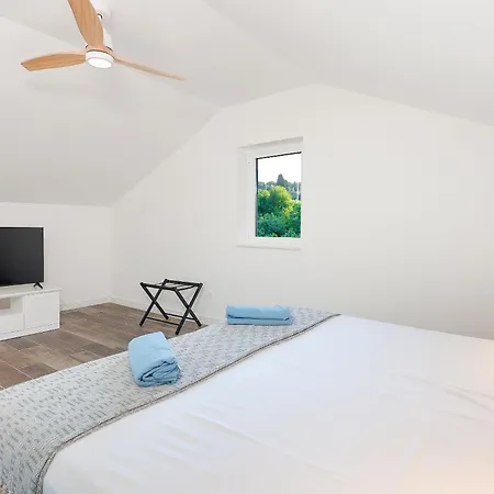 Papa's Court V With Pool *