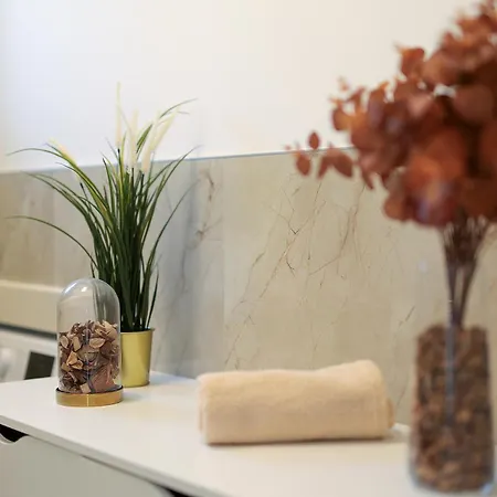 Papa's Court V With Pool